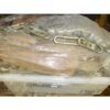 T-1360 Chain. 458 (Plated)