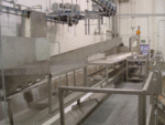Beef Boning Tables